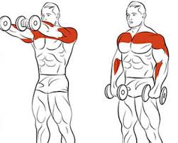 Image result for shoulder exercises