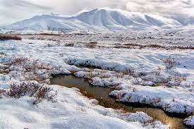 Tundra adalah suatu bioma tempat terhambatnya pertumbuhan pohon dengan rendahnya suhu lingkungan sekitar. Bioma Tundra Pengertian Proses Jenis Ciri Flora Dan Fauna