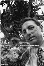 97 Yogi Bears Stock Photos, High-Res Pictures, and Images