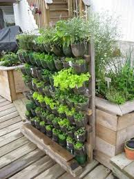 So, gardening can be an activity that could at least keep you stay healthy during the year. 50 Inspiring Small Vegetable Garden Ideas 5 Gardenideaz Com