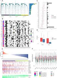 It has strict guidelines when it comes to branding: Pan Cancer Characterization Of Metabolism Related Biomarkers Identifies Potential Therapeutic Targets Journal Of Translational Medicine Full Text