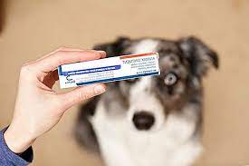 Animax Salbe Fur Hunde 2021