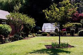 Lawn maintenance landscape contractors landscaping & lawn services. Lawn Treatment Service Lawn Company Near Me Best Lawncare Company Dallas Tx And Surrounding Areas Lawn Fertilization Services Lawn Aerator Service Pest Control