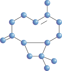 Image result for Eriocephalus luederitzianus