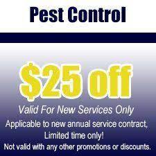 A pest problem can cause havoc within buildings and offices. Pest Control Tampa Fl Best Termite Pest Control Inc