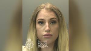 Footage shows banned driver attempting to flee police in 70mph high speed  chase around Cardiff