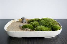 Wiki researchers have been writing reviews of the latest mini zen gardens since 2017. So Konnen Sie Einen Mini Zen Garten Kreieren Zengardens Mini Zen Garten Zengarten Teller Sand Miniatur Zengarten Zen Garten Mini Zen Garten