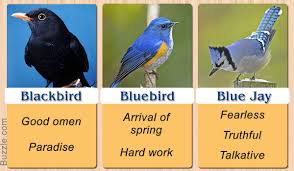 Types Of Birds And Their Meanings Pretty Enthralling Bird Symbolism And Their Meanings Bird Meaning Blue Jay Meaning Animal Spirit Guides