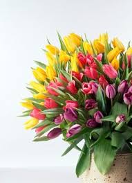 Greatbigcanvas.com has been visited by 100k+ users in the past month Bouquet Images Free Stock Photos Download 325 Free Stock Photos For Commercial Use Format Hd High Resolution Jpg Images