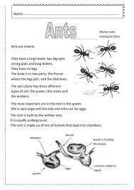 Insects Worksheets Free Ants Worksheet Free Esl Printable Worksheets Made By Teachers Ants Worksheet Kindergarten Worksheets Printable Ants