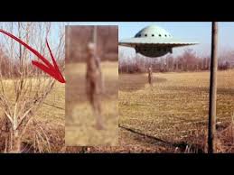 Abbreviation of objeto voador não identificado (unidentified flying object). Pin On Leavel 36 Update2020