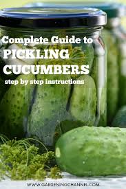 You can store them in a ziplock bag in the vegetable bin for a couple of days if you must but beyond that they begin to break down and the quality of the pickles falls off rapidly. How To Pickle Cucumbers Gardening Channel