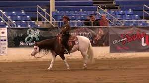 Titan's 2018 cactus reining classic open derby run. Titan S 2018 Cactus Reining Classic Open Derby Run Youtube