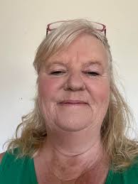 What companies transport pets domestically?