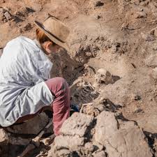 Preserved Skeleton, Bronze Sword Found at Ancient Burial Site - Men's  Journal