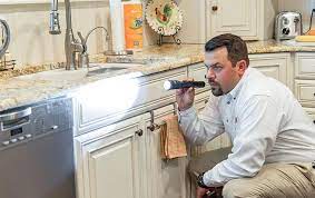Rodents in denton, texas are smart. Denton Pest Control Exterminators In Denton Tx