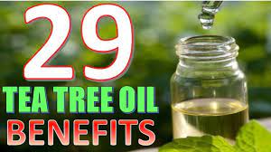 29 Life Hacks Uses And Benefits Of Tea Tree Oil You Need To Know Tea Tree Oil Benefits Tea Tree Oil Tea Tree Oil For Acne