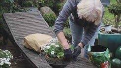 Barbels Wohn Deko Ideen Youtube Deko Ideen Deko Rosen Im Glas