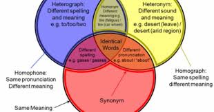 Homophones Homographs And Homonyms Venn Diagram Words Different In Pronunciation Spelling And Meaning Homographs Homophones Same Word Different Meaning