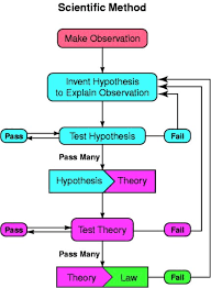 Flowchart Scientific Method Flowchart In Word