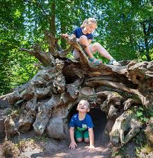 Climb on amazing circuits from tree to tree. Forest Adventure Trail