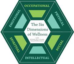 The Six Dimensions Of Wellness National Wellness Institute Wellness Institute Health And Wellness Wellness Resources