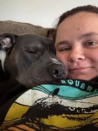 Introduction to a Family of Golden Retrievers