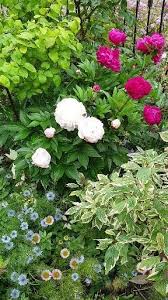 Garden Gardening Gardener Kent Ashford Canterbury We Open The Garden Season And Introduce In 2020 Beautiful Flowers Garden Peonies Garden Garden Inspiration