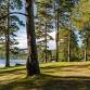 Marathon de Kongsvinger event image