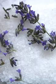 Sale Grosso E Lavanda Lavender Flowers Growing Lavender Lovely Lavender