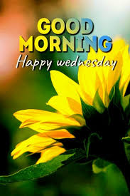 These good morning happy wednesday images are having some very epic and unique quotes and wishes on them with a nice wallpaper. á… Top 23 Good Morning Wednesday Images Pictures Photos