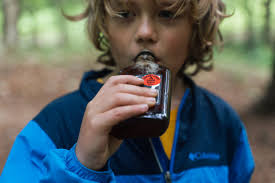 Around Mount Mansfield with Sage and Two Journals