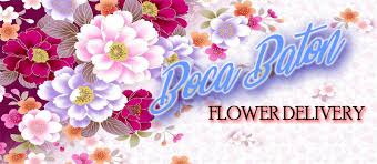 Field of flowers has been awarded as best florist by numerous organizations including the boca forum and sun sentinel, davie and cooper city gazette, cbs. The 9 Best Options For Flower Delivery In Boca Raton 2021
