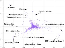 Image result for Zanthoxylum holtzianum