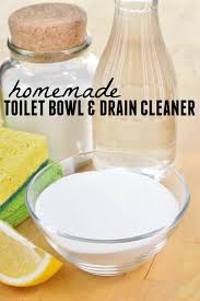 homemade toilet bowl drain cleaner