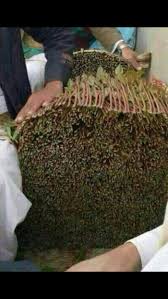 Check spelling or type a new query. Ø¨Ø§Ù„ØµÙ€Ù€ÙˆØ± Ù…Ù† Ù‡Ùˆ ØµØ¯ÙŠÙ‚ Ø§Ù„ÙŠÙ…Ù†ÙŠÙŠÙ† Ø§Ù„Ø¯Ø§Ø¦Ù… ÙÙŠ Ø§Ù„Ø³Ù„Ù… ÙˆØ§Ù„Ø­Ø±Ø¨ ØµÙˆØ± ÙŠÙ…Ù†ÙŠ Ø³Ø¨ÙˆØ±Øª