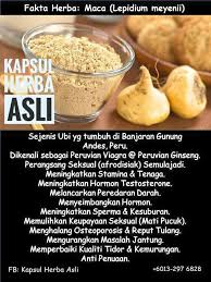 Penyakit apa ya yang bisa menyebabkan rasa. Petua Kampung Hilangkan Sakit Pinggang Posts Facebook