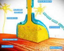 Image of Curare toxin