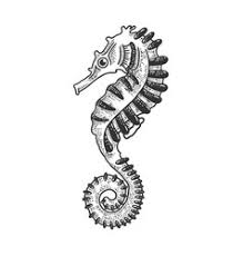 Seahorse Tattoo Vector Images Over 420 Find the latest seahorse tattoos by 100's of tattoo artists, today on tattoocloud. vectorstock