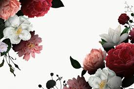 Black Background With Rose Border Download Premium Png Of Beautiful Hand Drawn Rose Themed Border Flower Background Wallpaper Roses Drawing Flowers Black Background