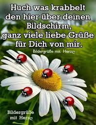 Huch Was Krabbelt Den Hier Uber Deinen Bildschirm Ganz Viele Liebe Grusse Fur Dich Von Mir Grusse Spruche Liebe Guten Morgen Grusse Freunschaft Spruche