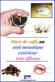 Marc De Cafe Un Anti Moustique Exterieur Efficace La Sante Naturellement Anti Moustique Moustique Anti Moustique Maison