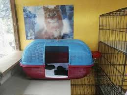 Jangan sampai menyakiti, lebih lakukan dengan kiat di bawah ini! Mingguan Wanita Sangkar Kucing Diy Guna Tudung Saji Facebook