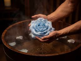 淡蓝玫瑰spa - 高端专业健康规范