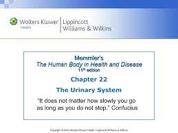 Ppt Memmler S The Human Body In Health And Disease 11 Th Edition Powerpoint Presentation Id 5571944
