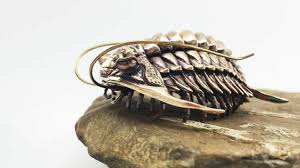 These 3d Printed Trilobites Are Absolutely Stunning Trilobite 3d Printing Prints