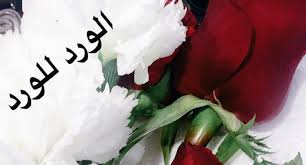 صباح الورد للورد مسجات صباحية وخواطر طويلة للعشاق necklace