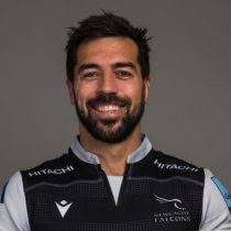 Scarlets 43-0 Treviso