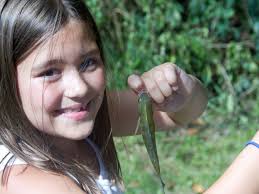 I caught a fish this big' during Peters Township Fishing Derby