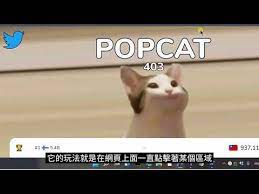 Popcat red nose stinger bow crypt witherlord sword/armor giant's eye sword null obsidian null map storm's chestplate with hex #000000 silent pearl midas' sword with 49,999,999 coins paid. G5soodjrcyyzwm